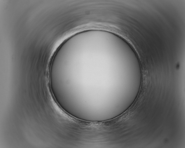 X0000116381531200912161449