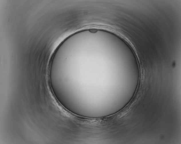 X0000116381533200912161449