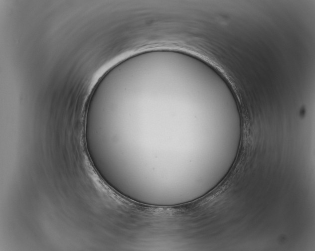 X0000116381534200912161449