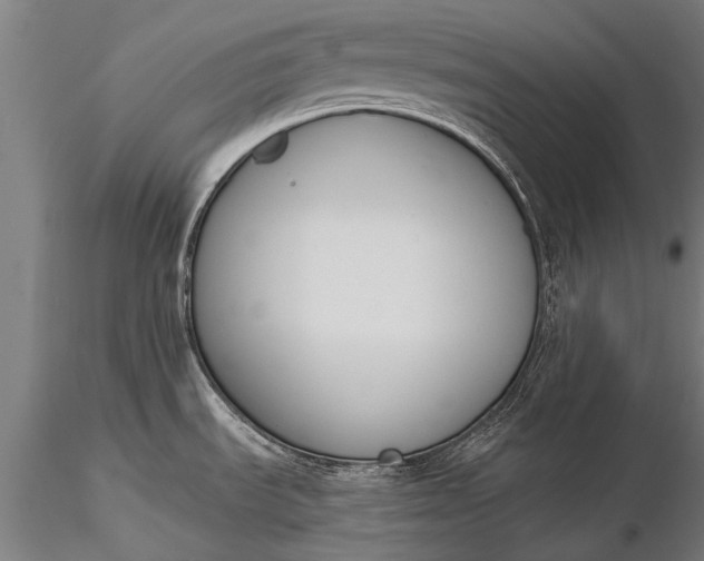 X0000116381535200912161449