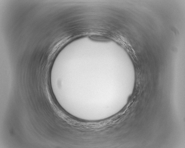 X0000116380001200912231410