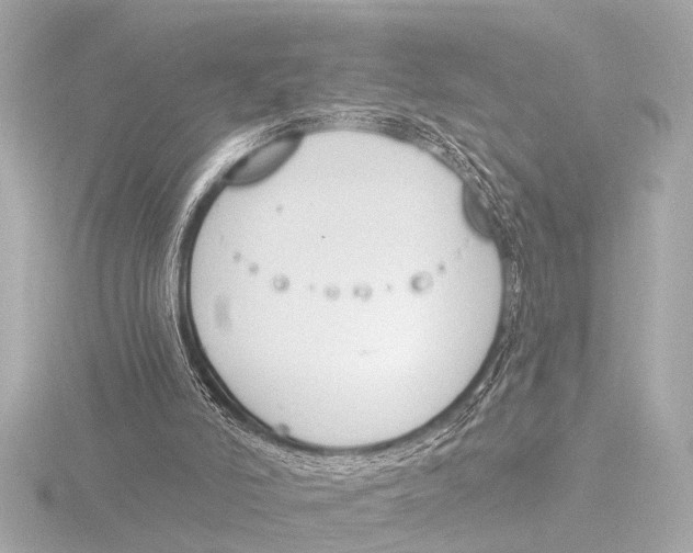 X0000116380006200912231410