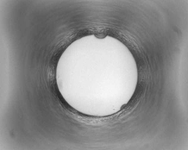 X0000116380040200912231409