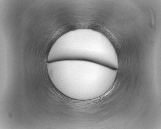 X0000116380045200912231409