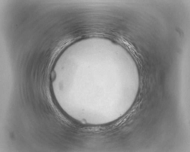 X0000116380049200912231408
