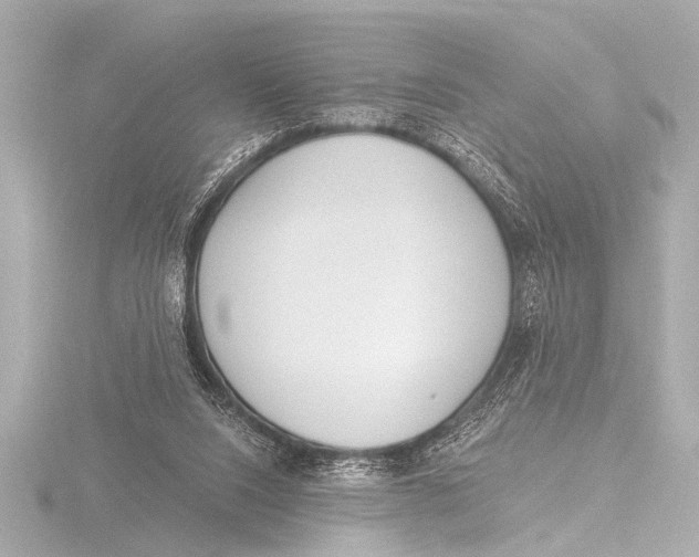 X0000116380064200912231409