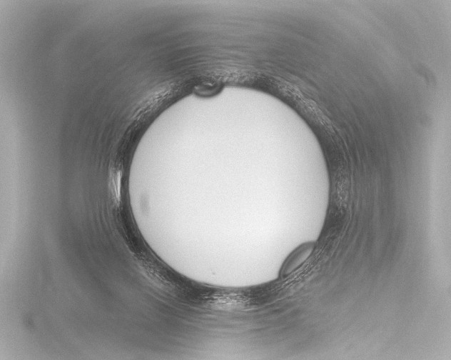 X0000116380070200912231409