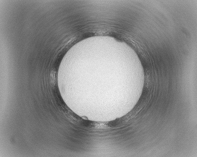 X0000116380093200912231409