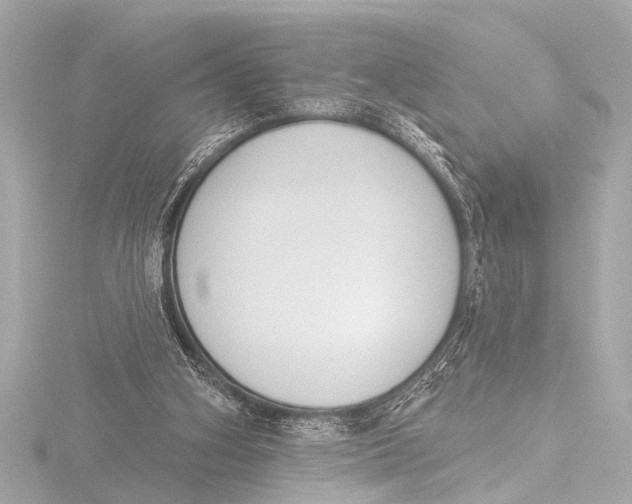 X0000116380106200912231408
