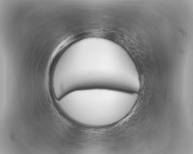 X0000116380150200912231407