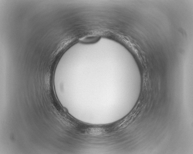 X0000116380154200912231407