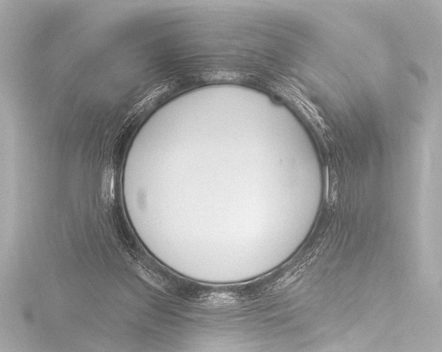 X0000116380157200912231407