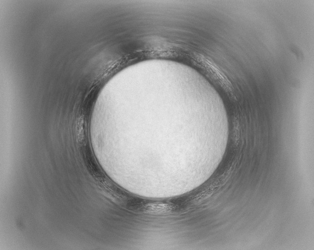 X0000116380169200912231407