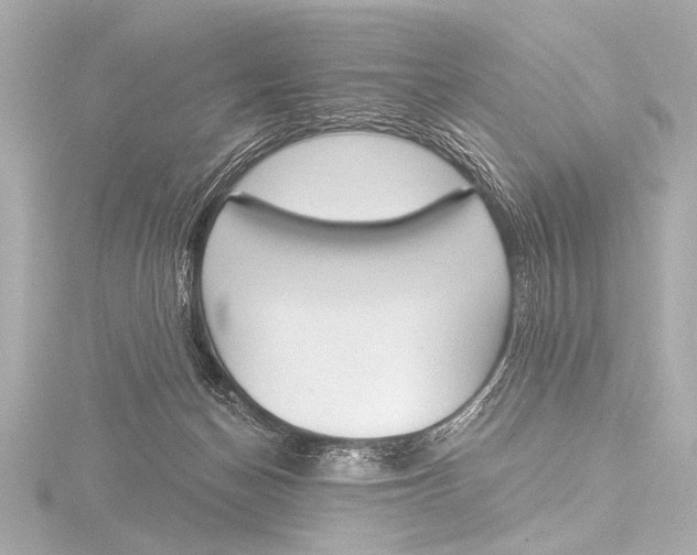X0000116380174200912231407