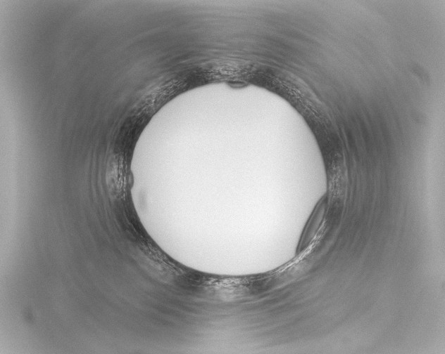 X0000116380186200912231407