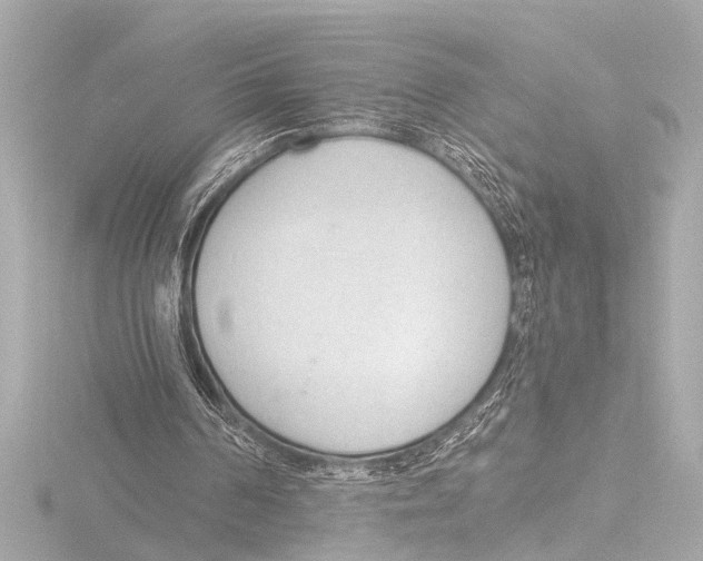 X0000116380194200912231407