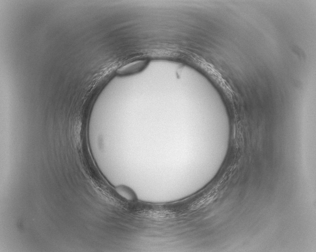 X0000116380201200912231407