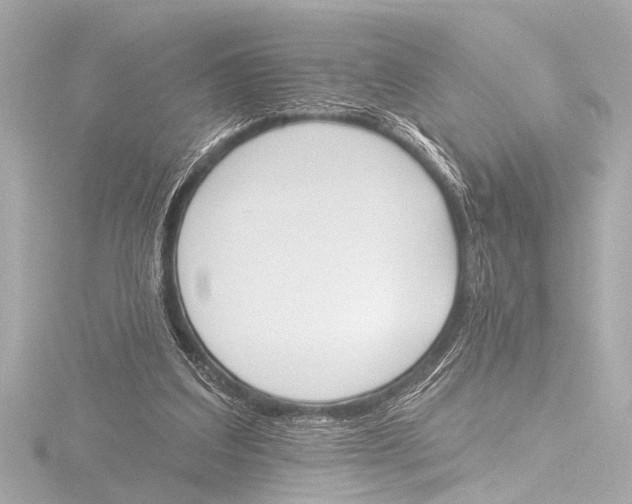 X0000116380203200912231407