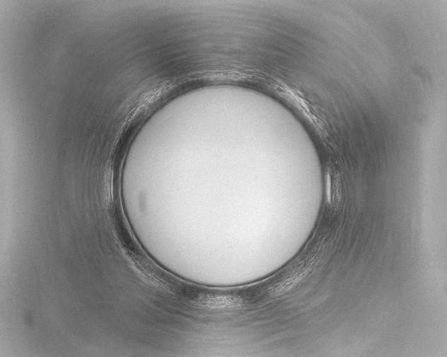X0000116380205200912231407
