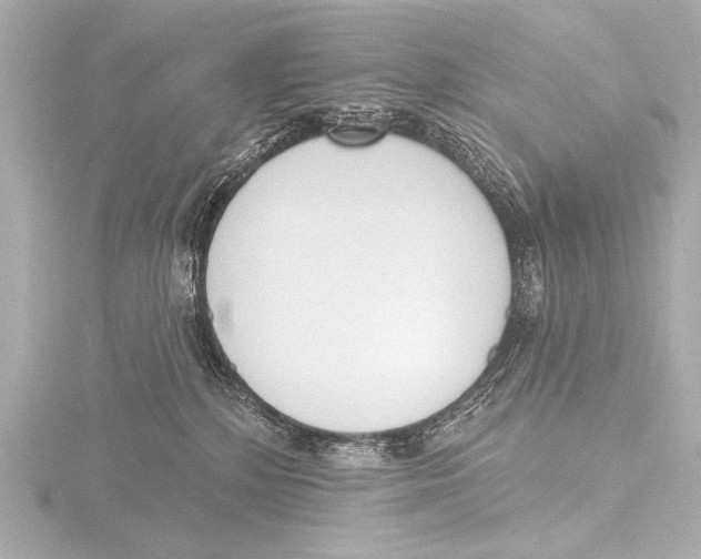 X0000116380232200912231406