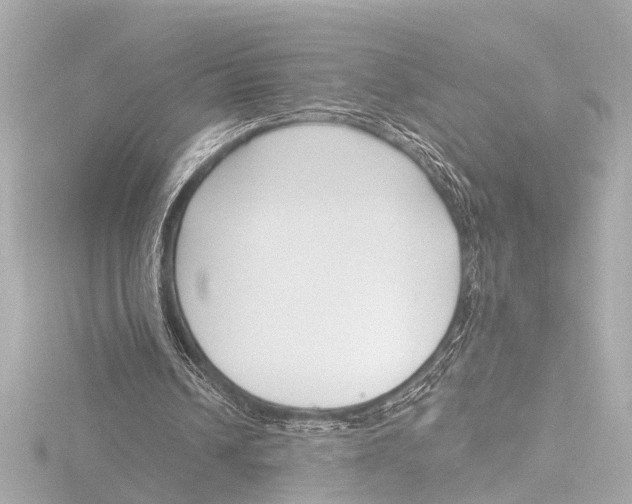 X0000116380242200912231406
