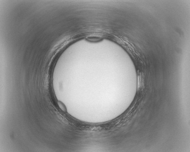X0000116380243200912231406