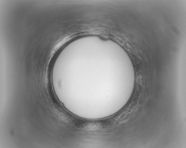 X0000116380248200912231406