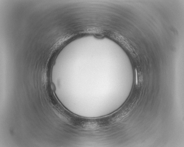 X0000116380252200912231406