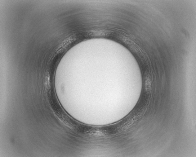 X0000116380254200912231406