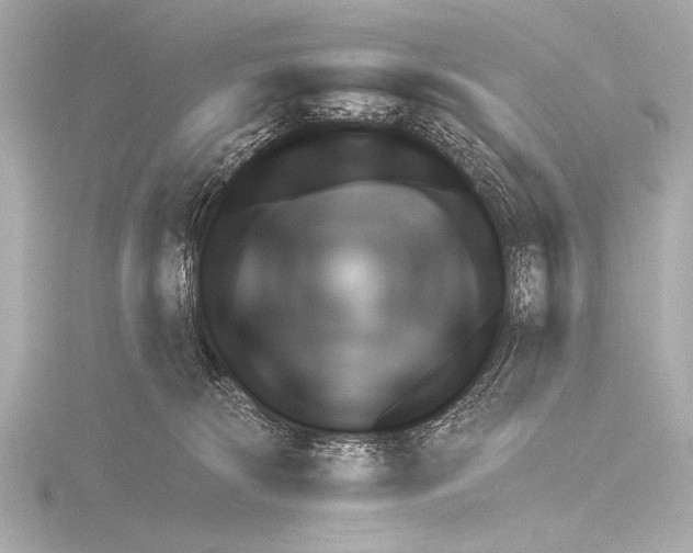 X0000116380276200912231406