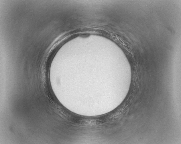 X0000116380295200912231406