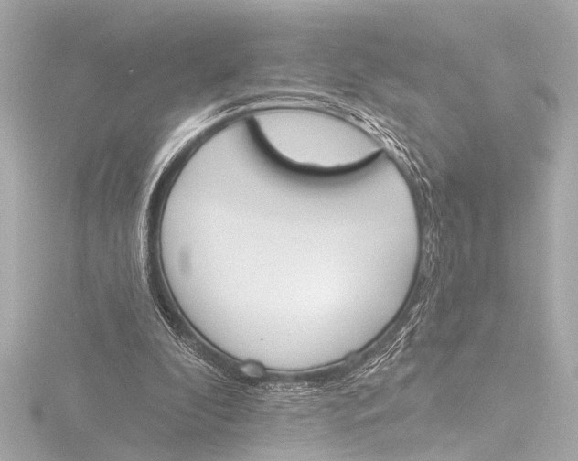 X0000116380296200912231406