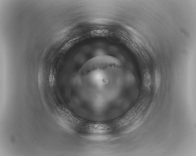 X0000116380324200912231405