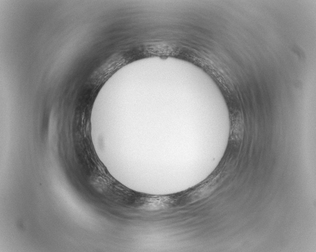 X0000116380334200912231405