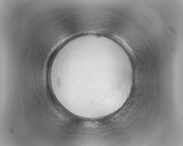 X0000116380346200912231405