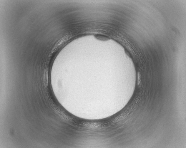 X0000116380349200912231405