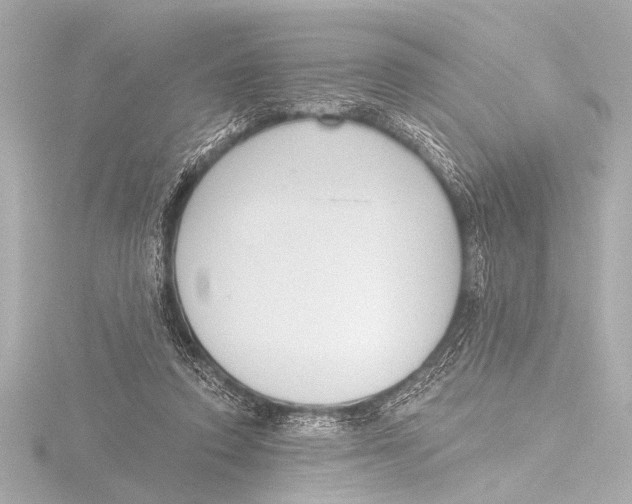 X0000116380354200912231405