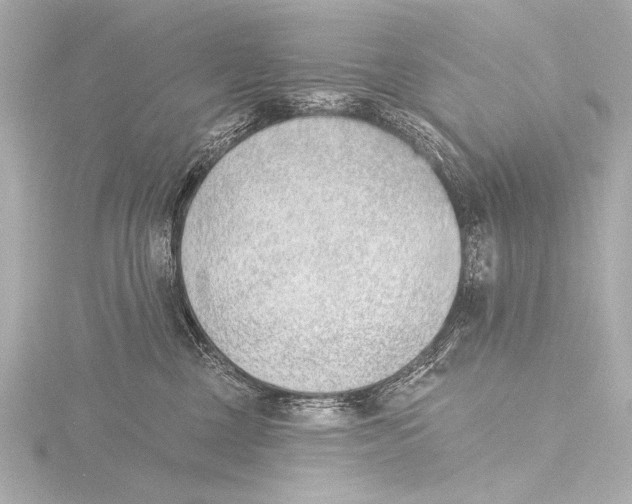 X0000116380377200912231405