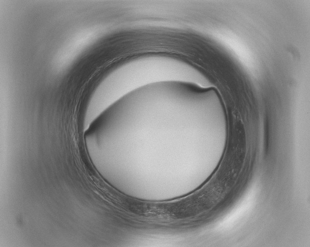 X0000116380387200912231404