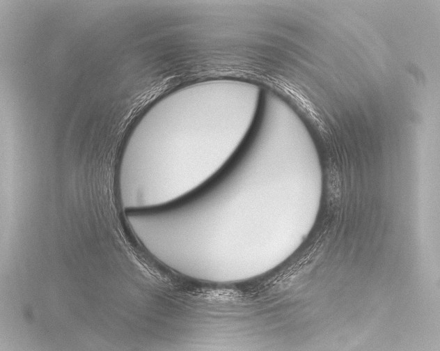X0000116380401200912231404