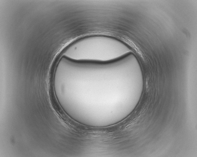 X0000116380436200912231403