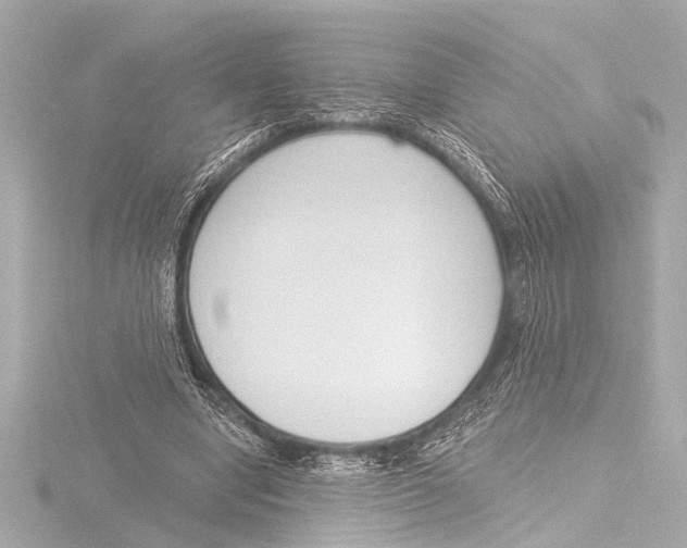 X0000116380442200912231403