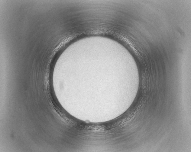 X0000116380443200912231403