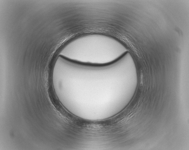X0000116380444200912231403