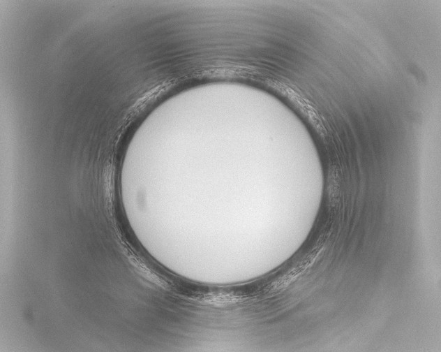 X0000116380445200912231403