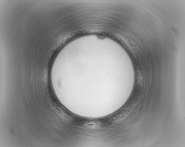X0000116380447200912231403