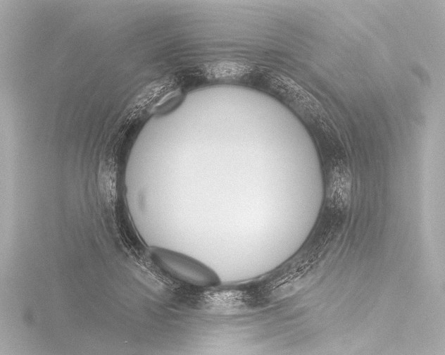 X0000116380452200912231403