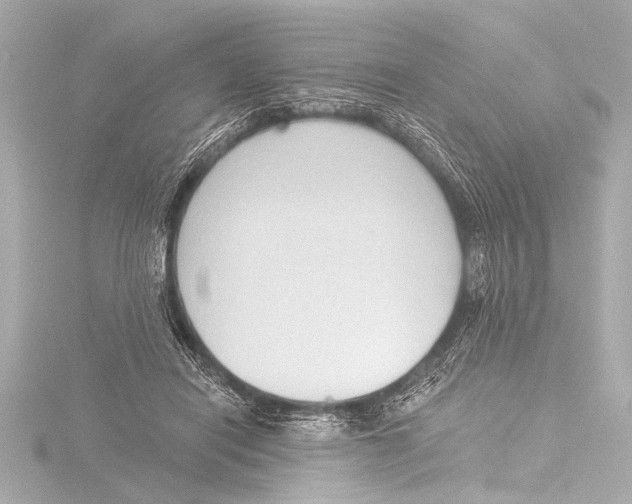 X0000116380454200912231404