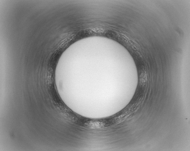 X0000116380464200912231404
