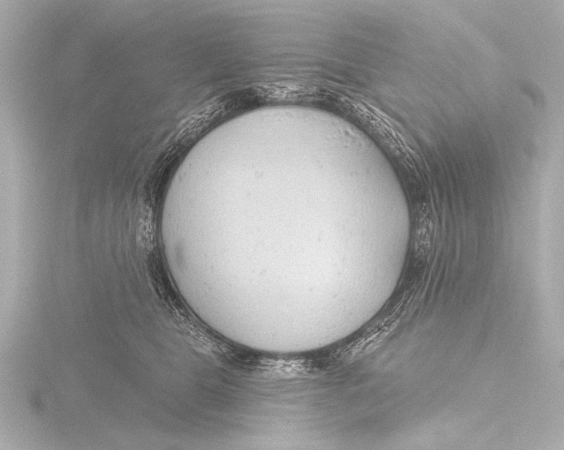 X0000116380469200912231404